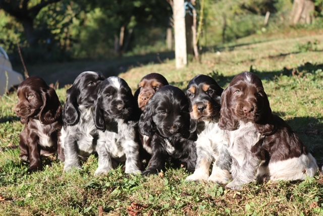 Un nouveau souffle de tendresse est arrivé !